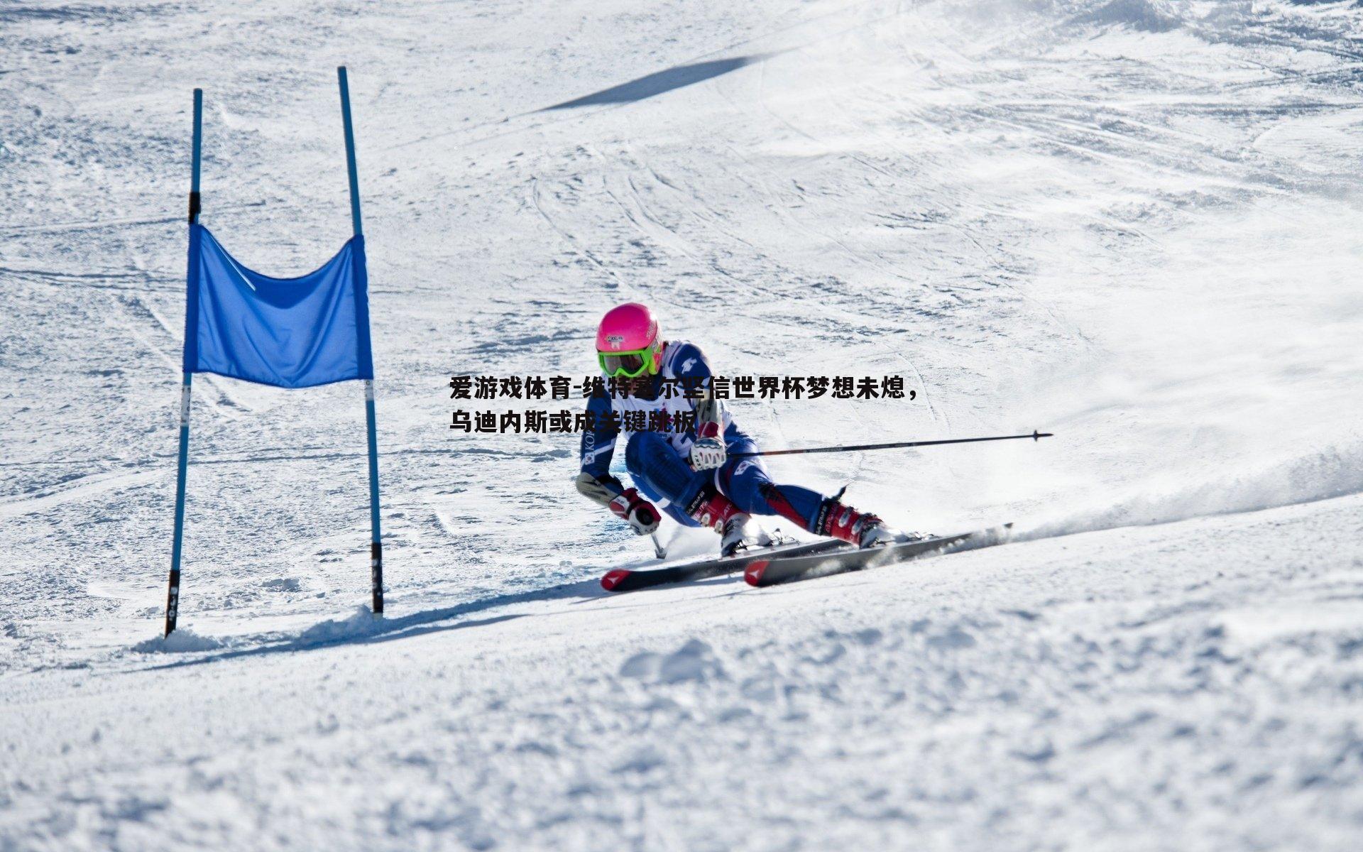 维特塞尔坚信世界杯梦想未熄，乌迪内斯或成关键跳板